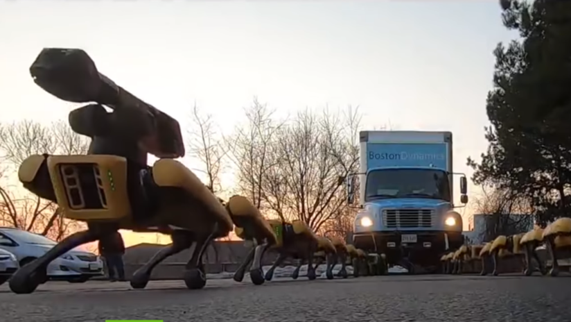 "Pesadillas del futuro": Perros robot de Boston Dynamics se coordinan para arrastrar un camión (VIDEO)