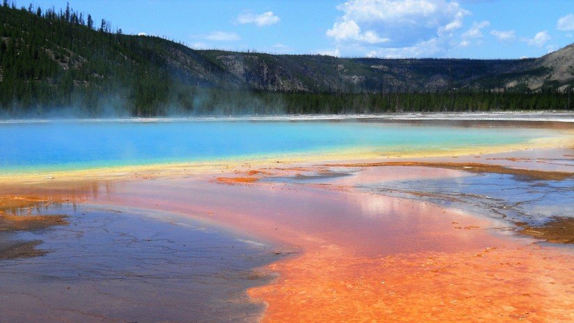 Yellowstone: Imágenes por satélite muestran cómo una nueva zona termal 'mata' al bosque que la rodea