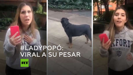 Viral: se niega a recoger las heces de su perro e Internet no la perdona