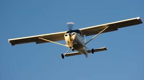 Se estrella avioneta al "entrar en contacto" el perro del piloto con los controles de la nave