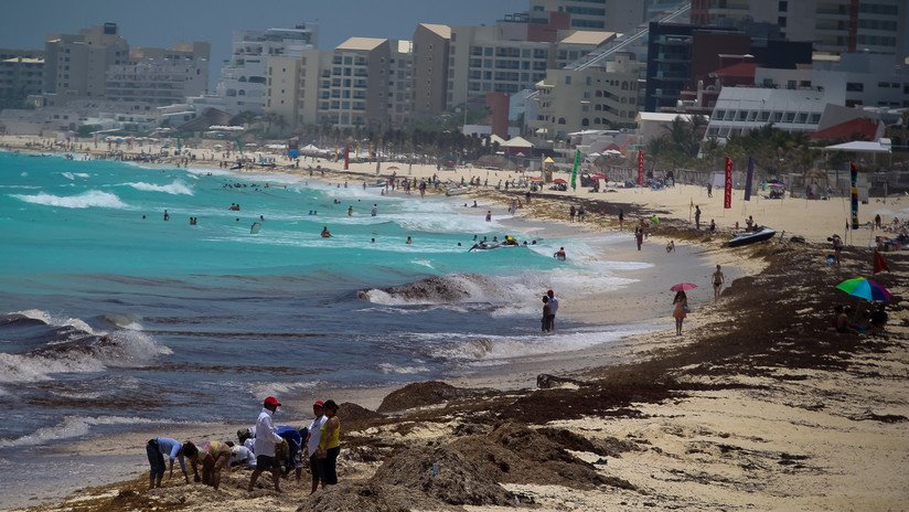 México enfrenta un "mar de sargazo" en Cancún que podría generarle pérdidas millonarias