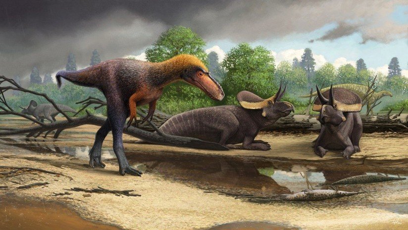 FOTOS: Científicos descubren que tenían restos del antes desconocido "primo" del Tyrannosaurus rex durante 21 años sin saberlo