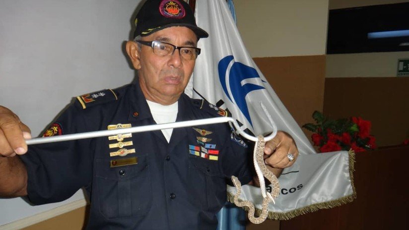 El 'héroe anónimo' que salva gratuitamente a víctimas de mordeduras de serpientes en Venezuela
