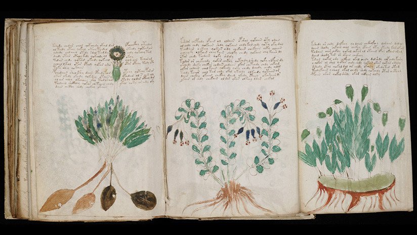 Un académico afirma haber descifrado el código del misterioso manuscrito Voynich