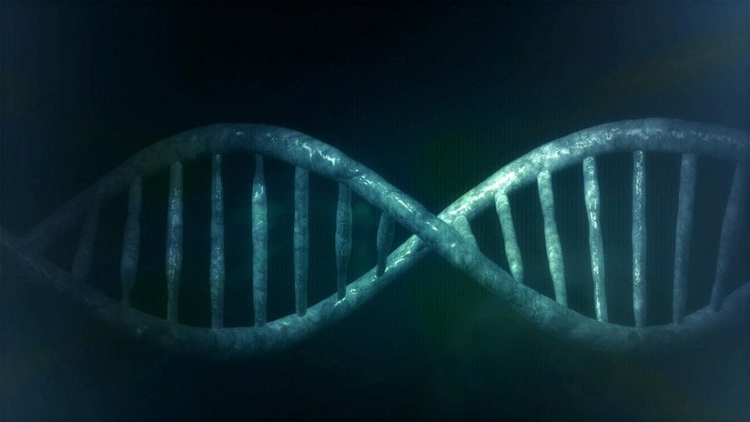 Los científicos crean el primer organismo vivo con el ADN completamente rediseñado