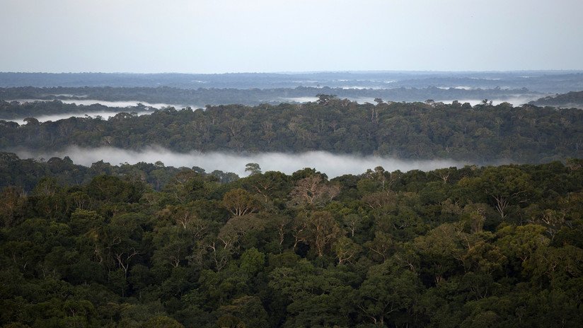 FOTO: Una tribu ecuatoriana gana el juicio contra el Gobierno y salva miles de hectáreas en la Amazonia