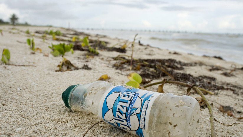 Paraíso perdido: Descubren más de 400 millones de fragmentos de basura en unas remotas islas tropicales 