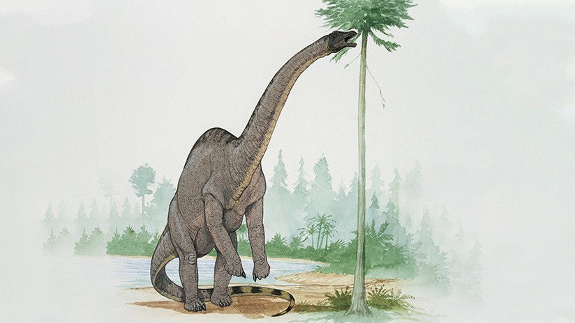 'Con tacones altos': un dinosaurio jurásico de más de 20 toneladas andaba "de puntillas"