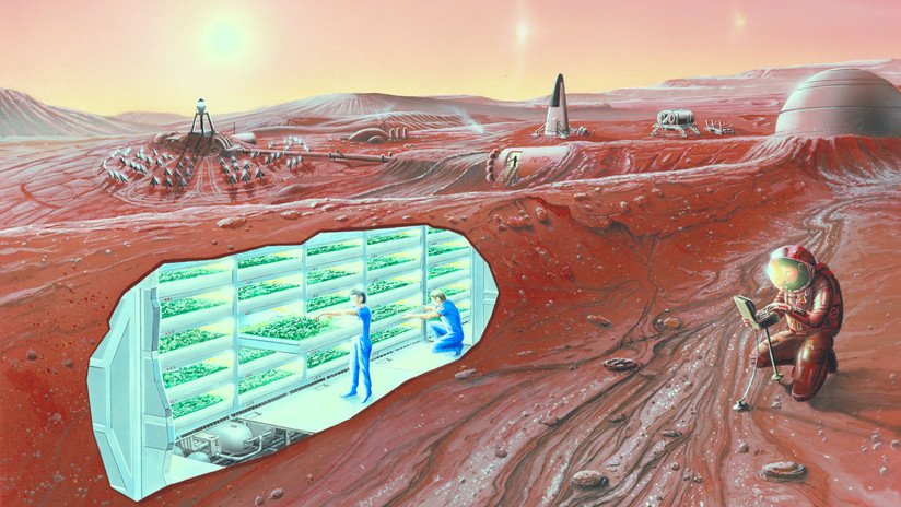 "Huesos más densos, miopía y otro color de piel": un experto predice las mutaciones de los futuros colonos de Marte