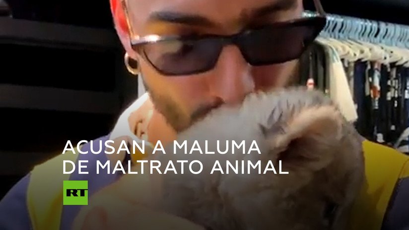 Maluma acaricia a un cachorro de león y cierra su Instagram por las críticas