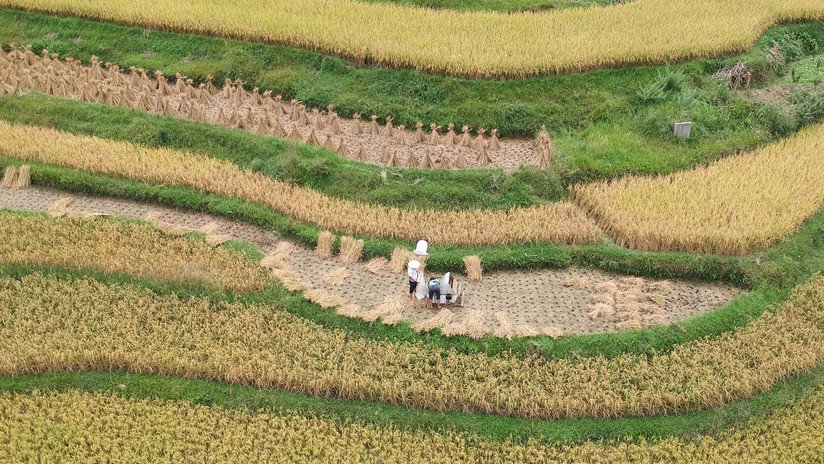 Se disparan las acciones de los productores de tierras raras tras las amenazas de China de restringir sus exportaciones