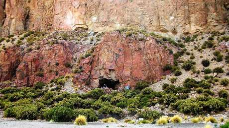 Bolso de un chamán de hace 1.000 años con "el mayor número de drogas hallado en un solo lugar en Sudamérica" evidencia su uso en la época precolombina