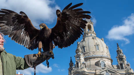 VIDEO: Una niña desconsolada trata de escapar de las garras de un águila mientras su madre se ríe