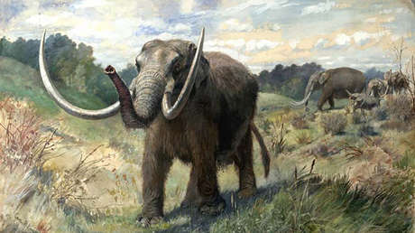 Imagen ilustrativa