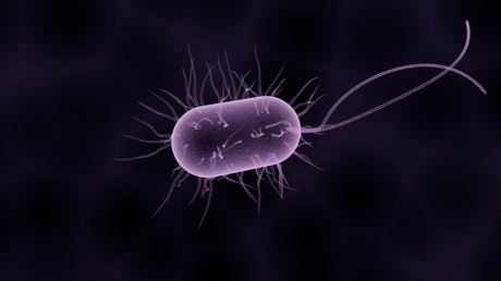 Qué es el microbioma y por qué abre la puerta a curar diversas enfermedades