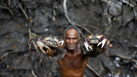 Descubra la misteriosa tribu que vive cazando cangrejos en los bosques de manglares de Brasil