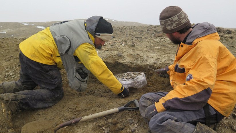 FOTO: Argentinos descubren en la Antártida los restos de un gigantesco dinosaurio marino de más de 11 metros y 10 toneladas