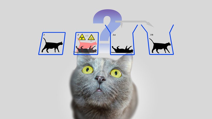 Logran predecir el salto cuántico y 'salvar' al gato de Schrödinger - RT
