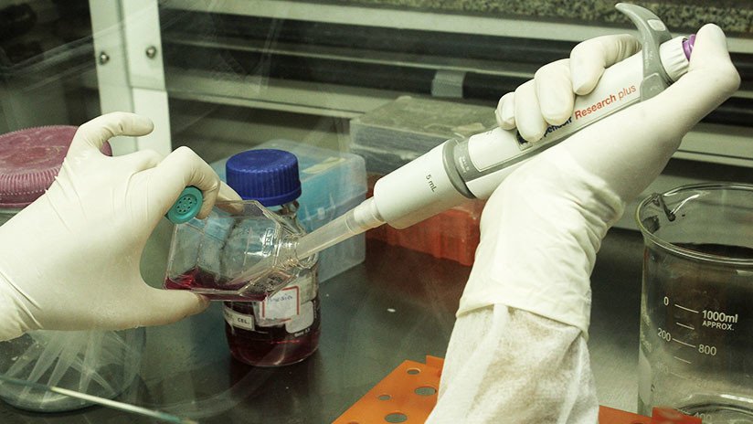 Biólogo molecular ruso planea crear bebés modificados genéticamente para combatir el VIH
