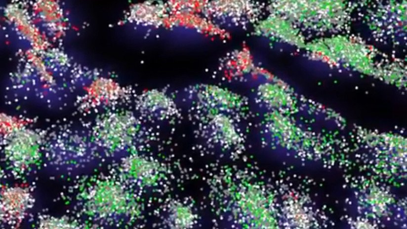 VIDEO: Reinventan la microscopía con un revolucionario método para visualizar el ADN