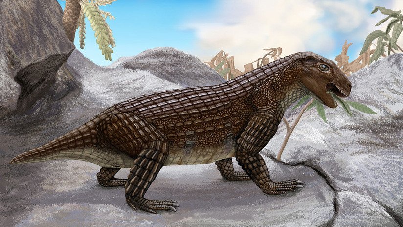 Parientes extintos de los actuales cocodrilos eran vegetarianos