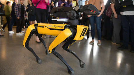 VIDEO: Un perro robot se 'desmaya' durante su presentación