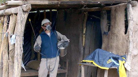 Cómo la ciencia y la comunidad lograron controlar el mal de Chagas en pueblos originarios de Argentina