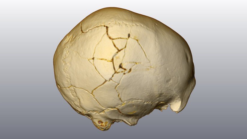 FOTO: El análisis de un cráneo ayuda a resolver un "asesinato de hace 30.000 años"