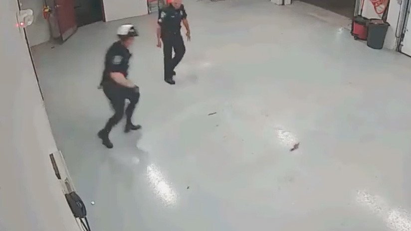 VIDEO: Policías se enfrentan con una ardilla que 'tomó por asalto' una comisaría en EE.UU.