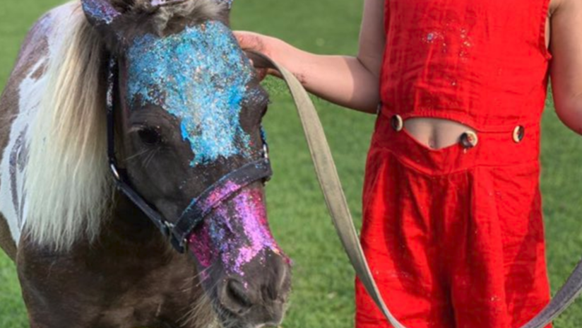 Argentina: Un poni pintado con purpurina desata las iras de la Red contra la exmodelo Delfina Blaquier