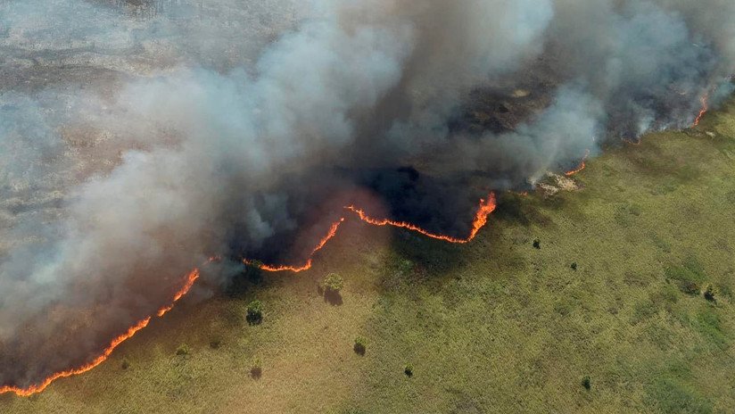 México lucha contra devastadores incendios en una reserva de biosfera en Quintana Roo