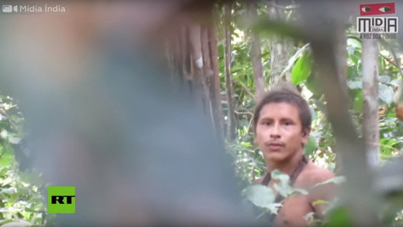 VIDEO: Graban a un indígena no contactado de Brasil en tierra cercada por los madereros ilegales