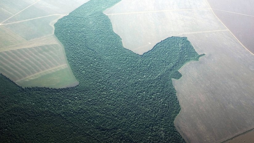 FOTO: Satélites de la NASA detectan cómo renace un bosque tropical brasileño que estaba desapareciendo