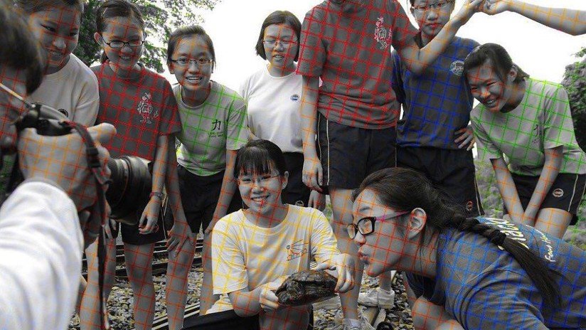 ¿A blanco y negro o a color? Una nueva ilusión óptica desconcierta a los internautas (FOTO)