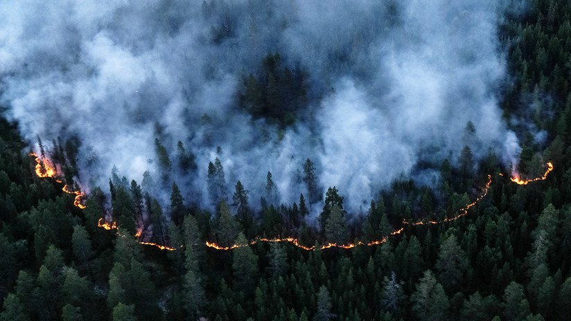 VIDEO: Declaran la emergencia en varias regiones rusas por los grandes incendios forestales en Siberia