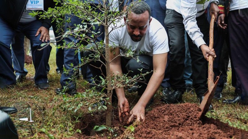 Etiopía planta 350 millones de árboles en un día para frenar el cambio climático