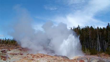 Las inexplicables erupciones de un géiser de Yellowstone se aproximan a un máximo histórico