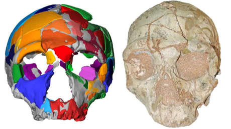 Identifican los restos de 'Homo sapiens' más antiguos fuera de África