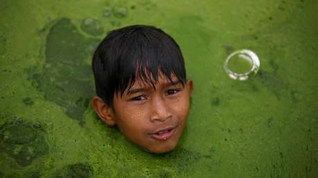 Las 15 imágenes más impactantes y divertidas que deja la semana