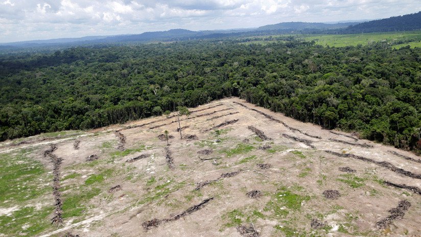 Brasil nombra a un militar como director interino del instituto que supervisa la deforestación en la Amazonía