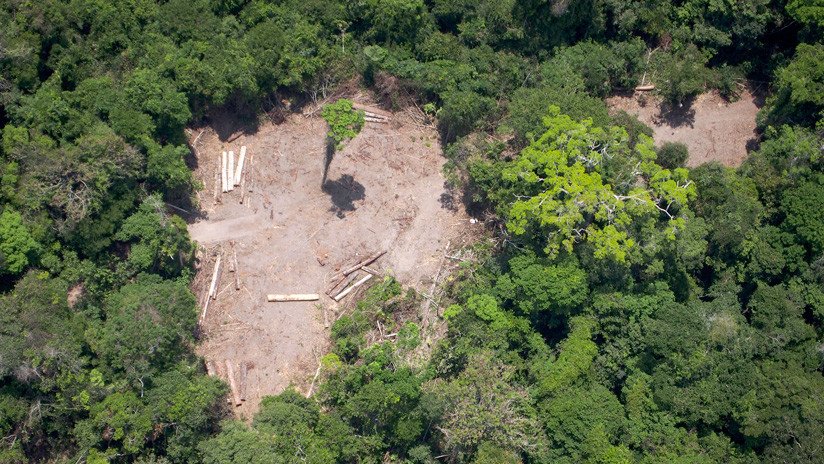 Bolsonaro dice que Brasil no necesita los recursos que Alemania dejó de destinar para la Amazonía