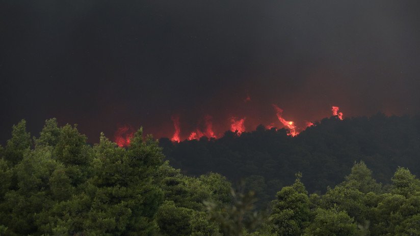 VIDEO: 180 bomberos luchan contra un incendio forestal al norte de Atenas, Grecia