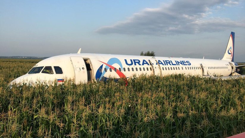 VIDEO, FOTOS: Airbus con más de 200 personas aterriza de panza y con los motores apagados en un campo de maíz cerca de Moscú sin que haya víctimas