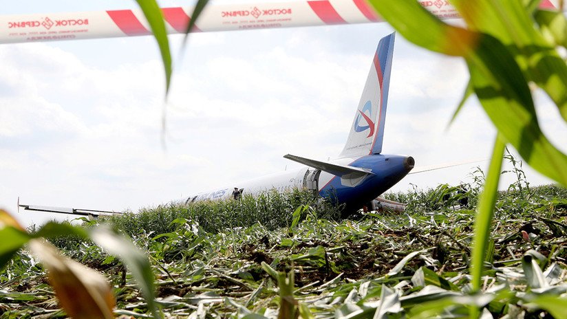 VIDEO: Momento exacto en que unos pájaros impactan con el avión ruso provocando la avería en sus motores
