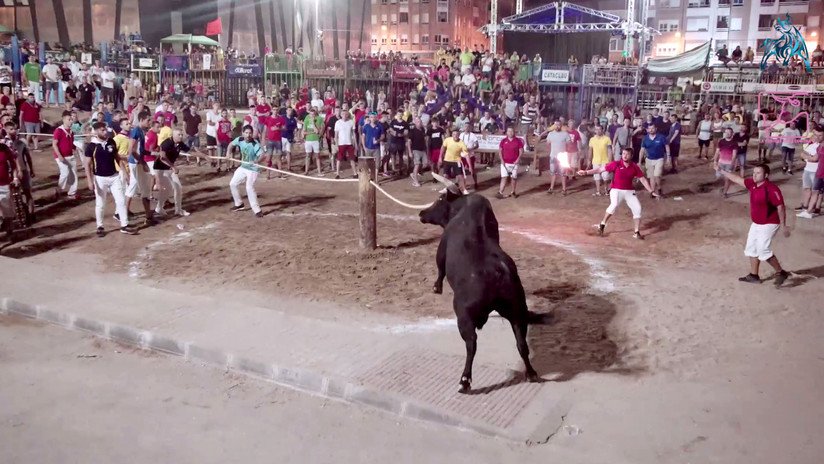 Demasiado explícito para Youtube: asociaciones animalistas graban y denuncian el maltrato a los toros en unas fiestas populares españolas (VIDEO)