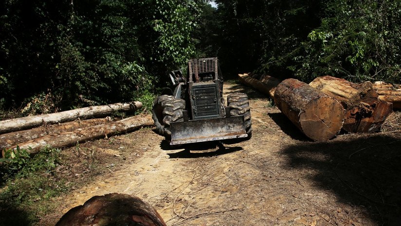 Brasil celebra la semana del Clima en un crispado ambiente por la deforestación de la Amazonía