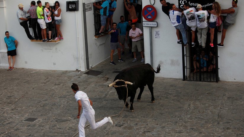 Un hombre muere tras recibir una cornada durante festejos taurinos en España (VIDEO)