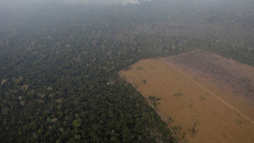 VIDEO: Las reveladoras palabras de una indígena brasileña que anticipó los graves incendios en la Amazonia
