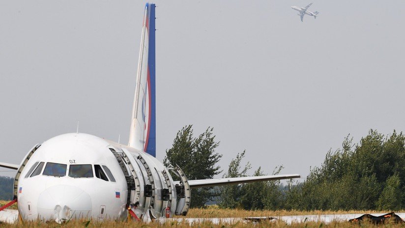 Empiezan a desmontar el avión ruso que aterrizó de emergencia en un campo de maíz cerca de Moscú (VIDEO)