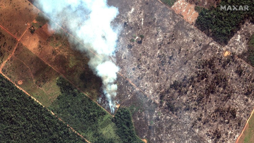 Casi 20 días después: Bolsonaro envía al Ejército para ayudar a extinguir los incendios en la Amazonia